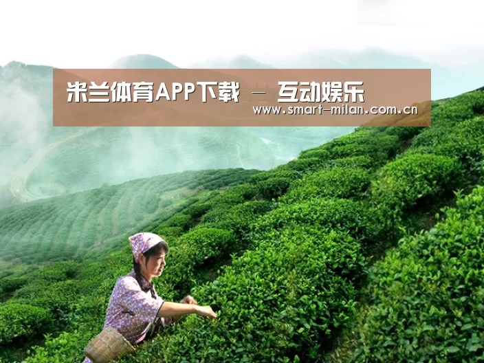 米兰体育APP下载 - 互动娱乐