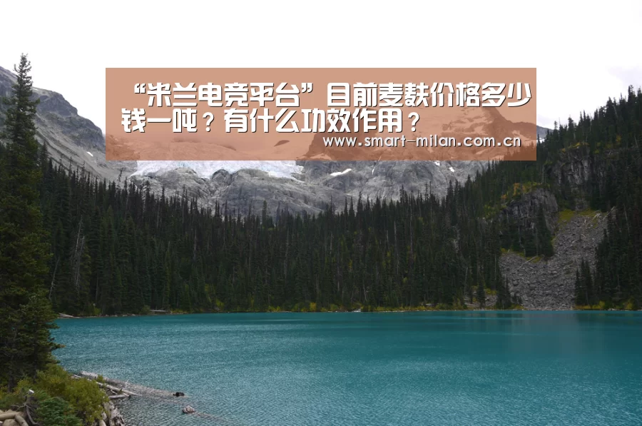 “米兰电竞平台”目前麦麸价格多少钱一吨？有什么功效作用？
