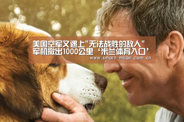 米兰平台
