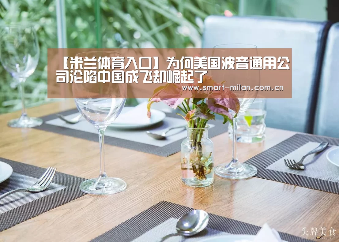 【米兰体育入口】为何美国波音通用公司沦陷中国成飞却崛起了(图3) 米兰体育入口
