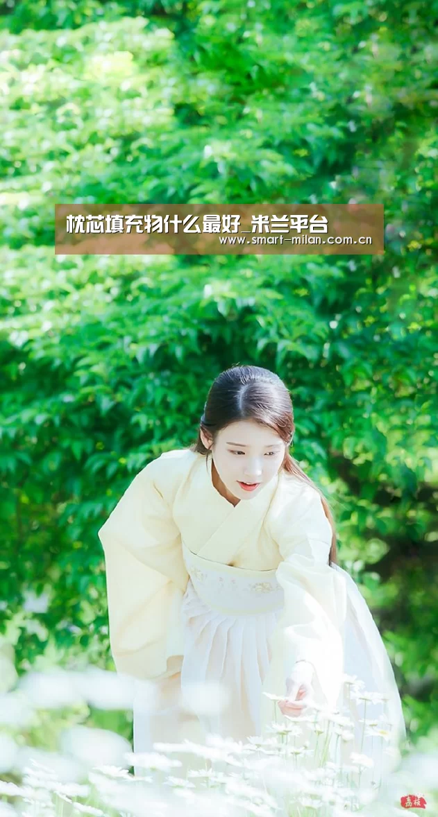 枕芯填充物什么最好_米兰平台(图4) 米兰电竞平台