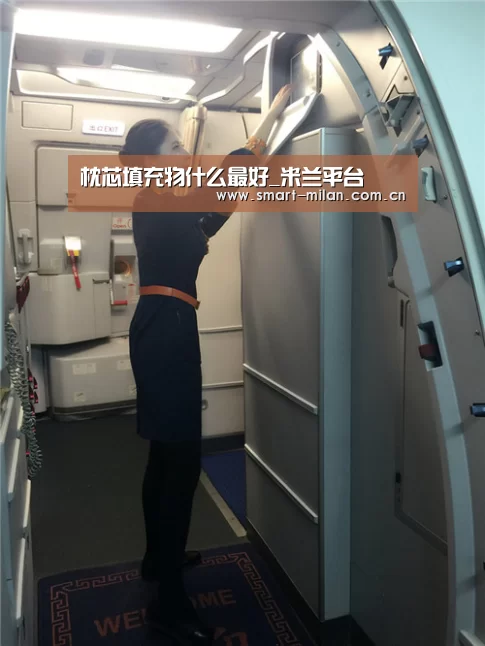枕芯填充物什么最好_米兰平台(图2) 米兰体育官网下载