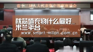 枕芯填充物什么最好_米兰平台(图3) 米兰电竞平台