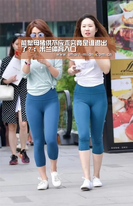 能繁母猪供不应求究竟是谁退出了？：米兰体育入口