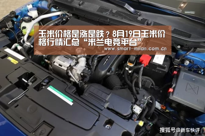 玉米价格是涨是跌？8月19日玉米价格行情汇总“米兰电竞平台”