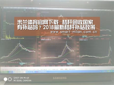 米兰体育官网下载-秸秆回收国家有补贴吗?2018最新秸秆补贴政策一览(图3) 米兰平台